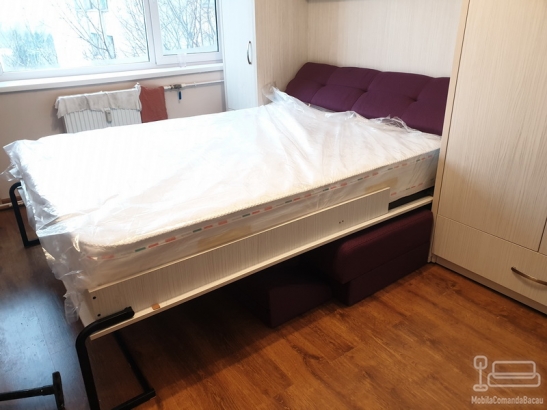 Dormitor cu Pat Rabatabil si Canapea D 357