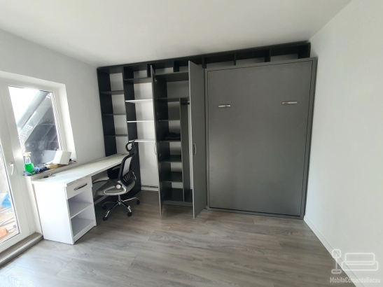 Mobilier cu pat rabatabil