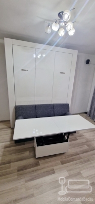 Pat Rabatabil cu Canapea Mdf lucios