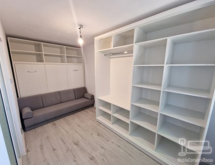 Ansmablu mobilier cu pat rabatabil si Canapea