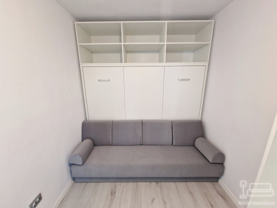 Ansmablu mobilier cu pat rabatabil si Canapea