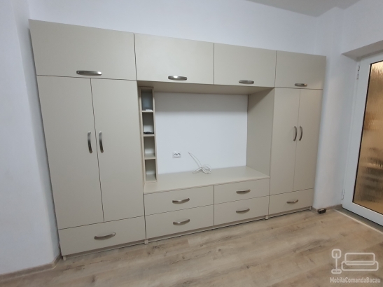 Mobilier elegant pentru living