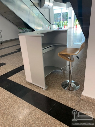 Mobilier receptie paznic security