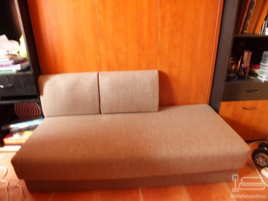 Paturi rabatabile cu canapea – model D 020