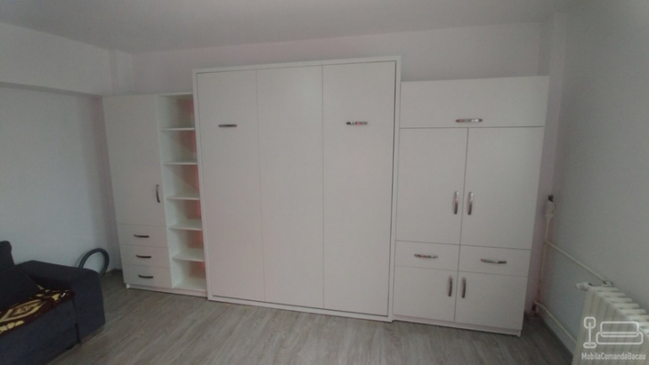 Mobilier Living cu Pat Rabatabil  D 280