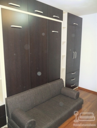 Dormitor cu Pat Rabatabil si Canapea D 216
