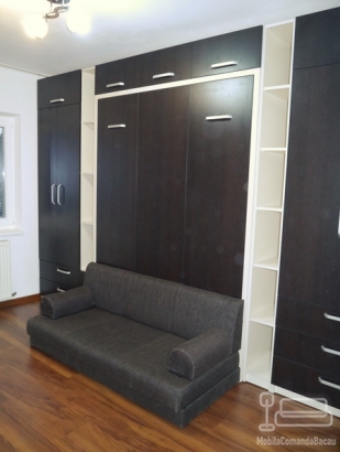 Dormitor cu Pat Rabatabil si Canapea D 216