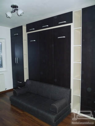 Dormitor cu Pat Rabatabil si Canapea D 216