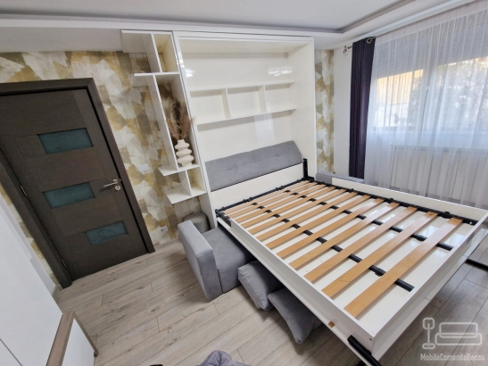 Ansamblu mobilier cu pat rabatabil si canapea