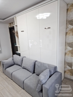 Ansamblu mobilier cu pat rabatabil si canapea
