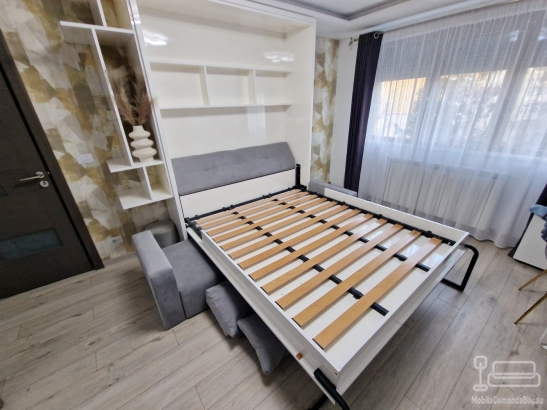 Ansamblu mobilier cu pat rabatabil si canapea
