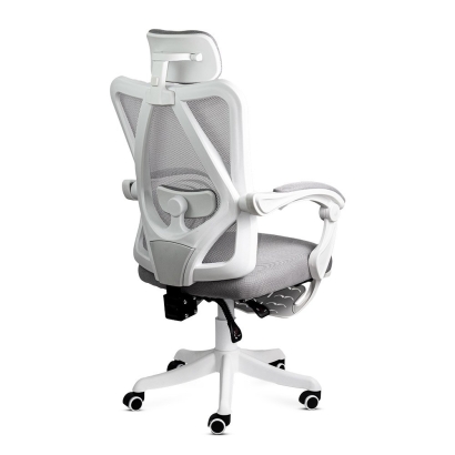 Scaun de birou ergonomic din mesh OFF 829 gri