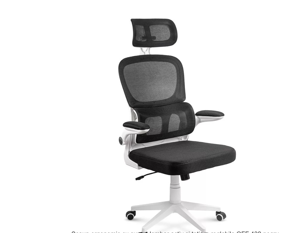 Scaun ergonomic pentru birou cu suport lombar si brate rabatabile OFF 432 negru